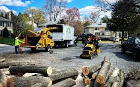 Best Lawn Pest Prevention  in Lucerne, CA